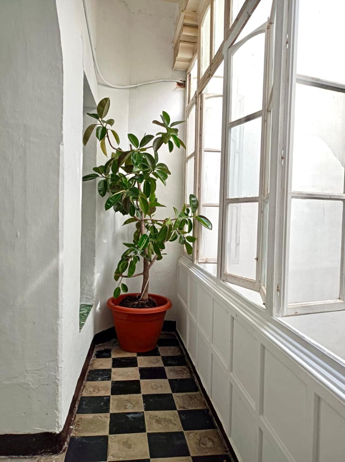 Precioso Apartamento: La Luz De Cádiz Exteriér fotografie